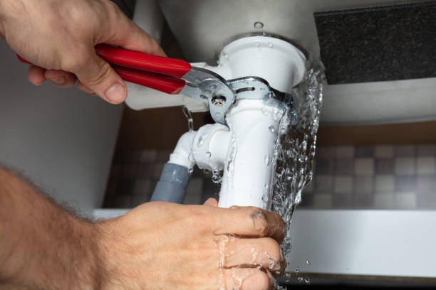 Best Professional water damage repair  in Burtonsville, MD