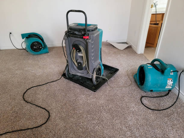 Best Carpet water damage restoration  in Burtonsville, MD
