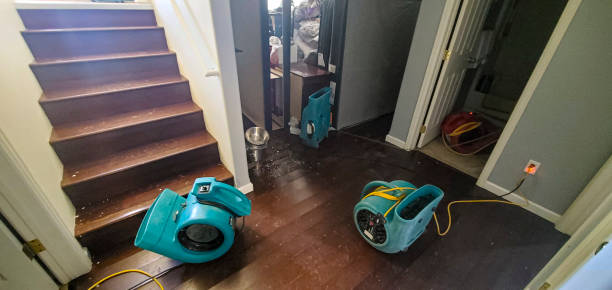 Best Water damage restoration mold remediation  in Burtonsville, MD