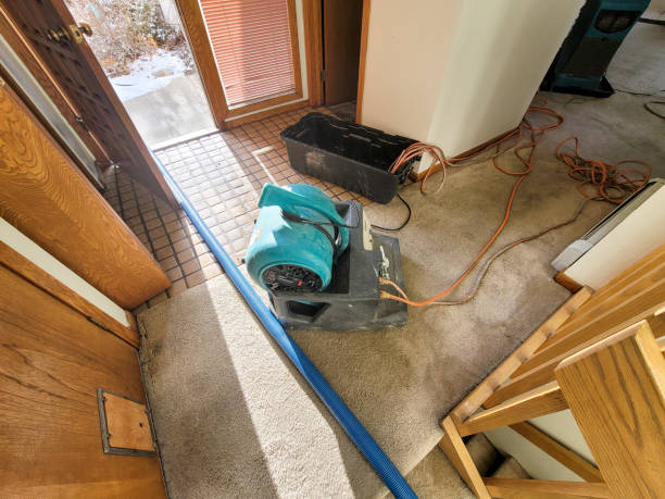 Best Flood restoration services  in Burtonsville, MD