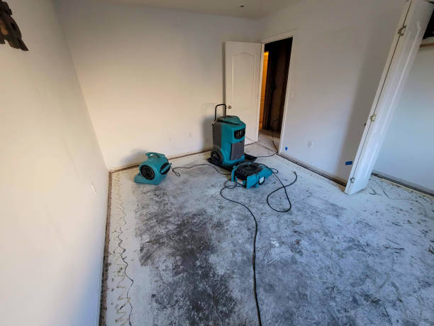 Best Flooded house restoration  in Burtonsville, MD