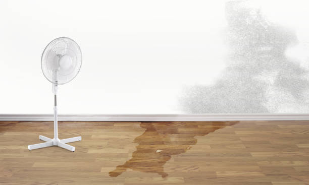 Best 24/7 water damage repair  in Burtonsville, MD