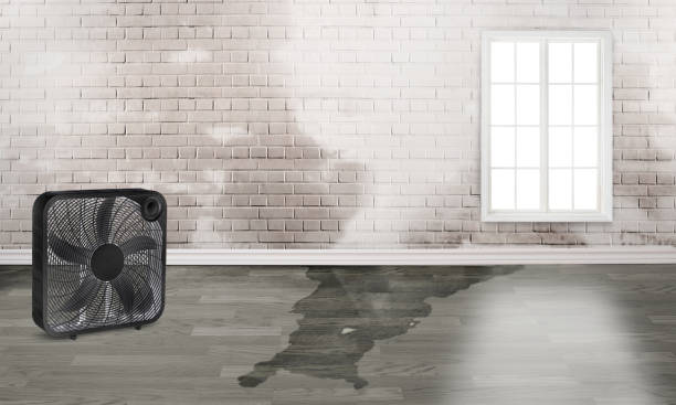 24/7 water damage repair in Burtonsville, MD