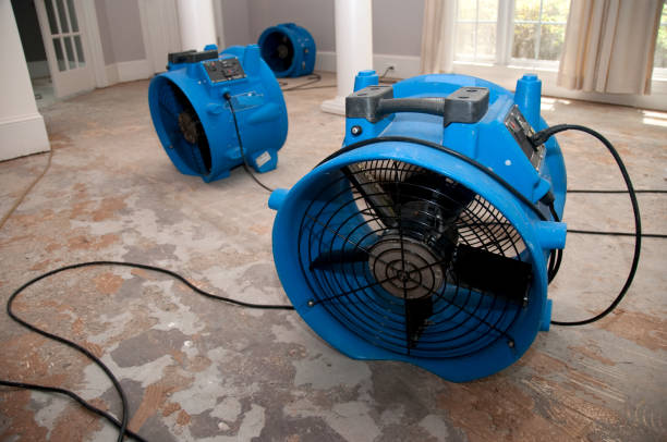 Best Professional water damage repair  in Burtonsville, MD