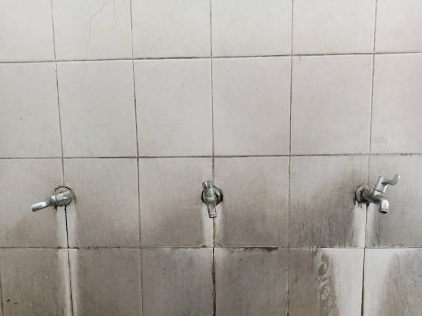 Best Carpet water damage restoration  in Burtonsville, MD