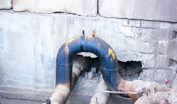Best Flooded house restoration  in Burtonsville, MD