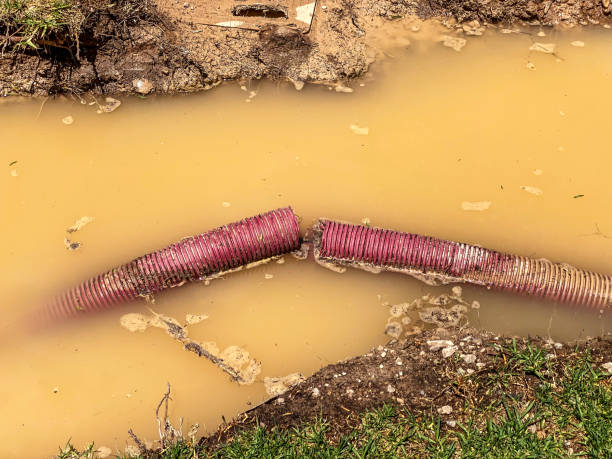 Reliable Burtonsville, MD Water damage restoration Solutions