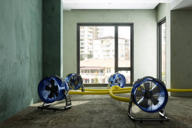 Best Commercial water damage restoration  in Burtonsville, MD